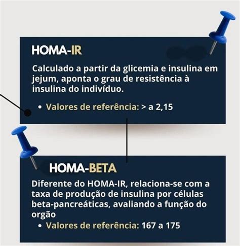 homo beta baixo o que significa - como calcular o homa beta